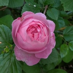 MOVING SALE!! BOGO equal or lesser!!!!